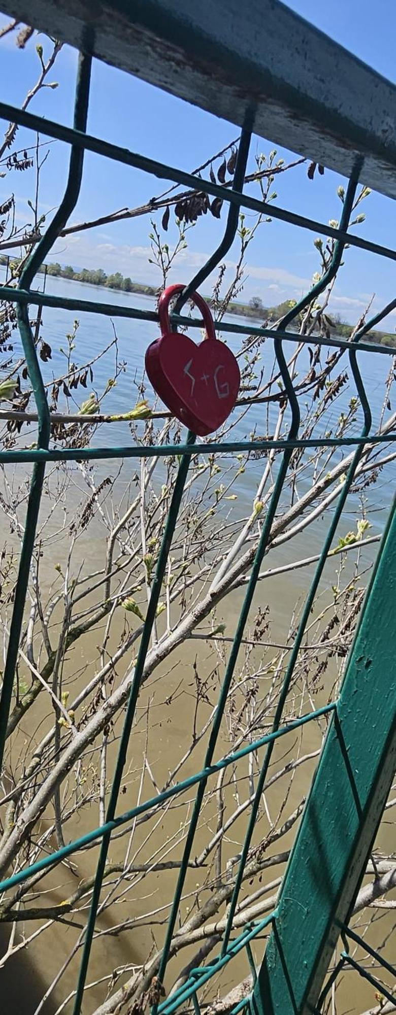 Danube Home Ostrovu Corbului 외부 사진